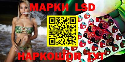 ГАЛЛЮЦИНОГЕННЫЕ ГРИБЫ Гусев