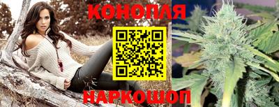 ГАЛЛЮЦИНОГЕННЫЕ ГРИБЫ Гусев